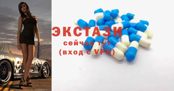 стаф Грязовец