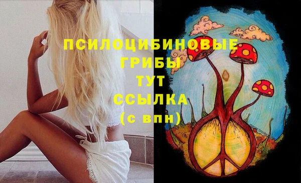 MESCALINE Инта