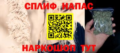 сатива Тула