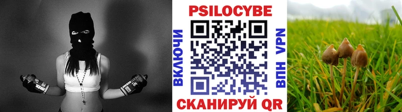 Псилоцибиновые грибы Psilocybe  где найти наркотики  Канск 