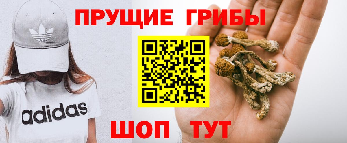 купить наркотики сайты  Псилоцибиновые грибы GOLDEN TEACHER  Канск  Вход с VPN  Псилоцибиновые грибы Psilocybe 